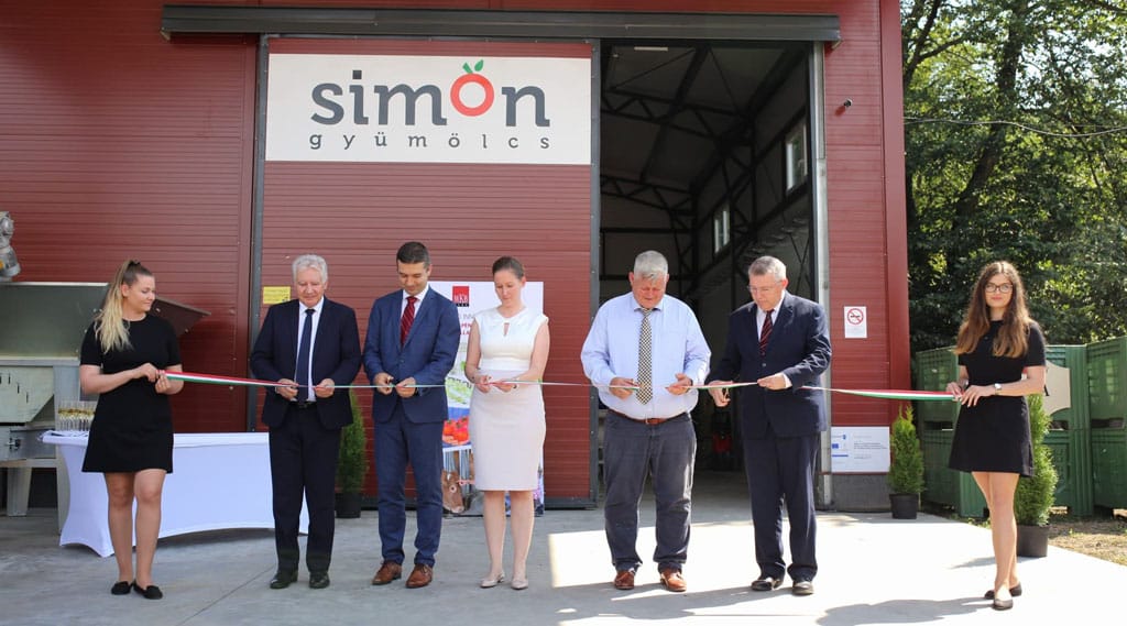 simon gyümölcs