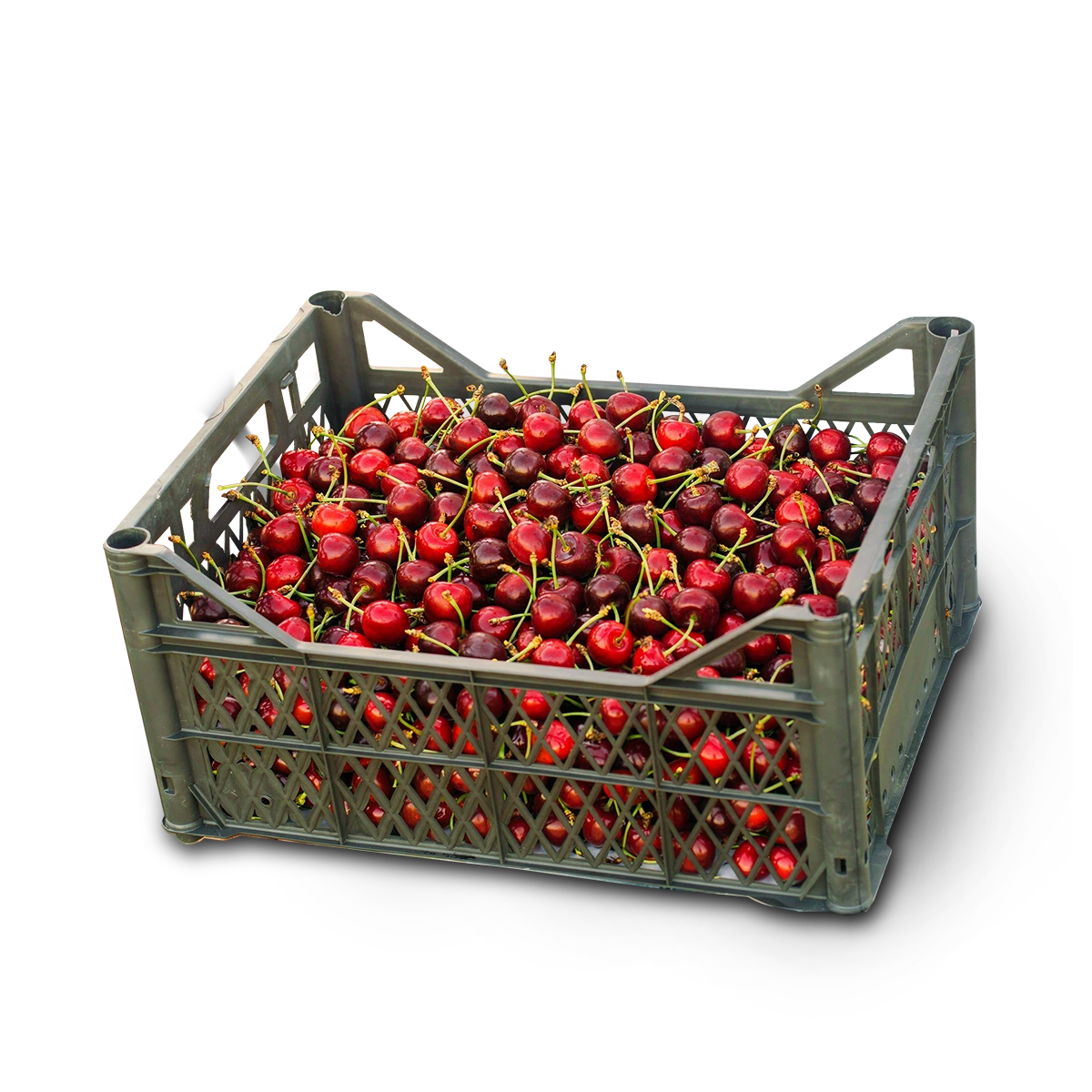 Cseresznye – 10 kg