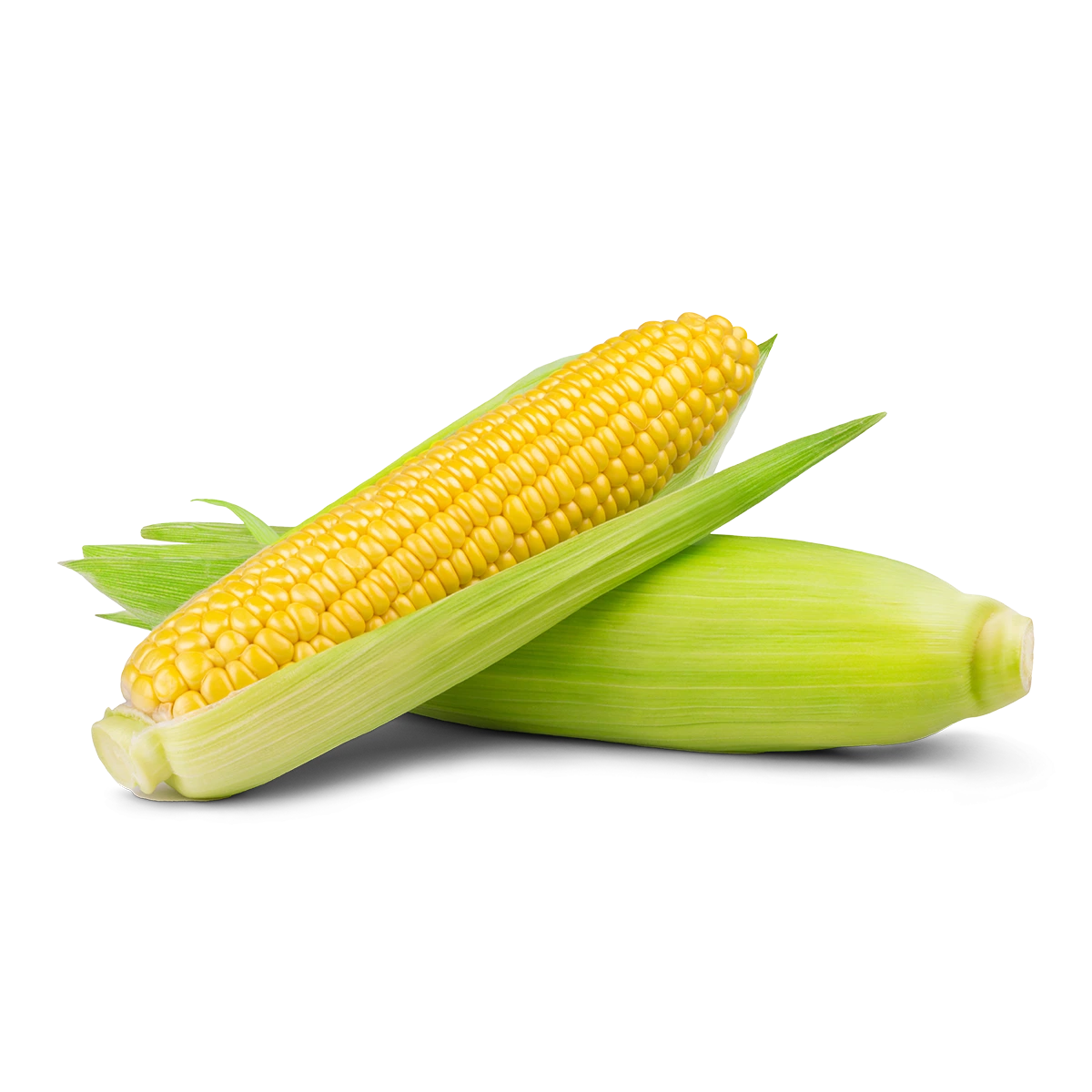 Csemege kukorica (1db)