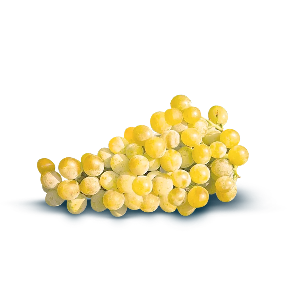 Pölöskei muskotály szőlő (1 kg)